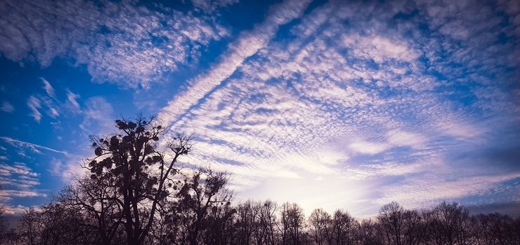 Beautiful altocumulus clouds with sunshine rays on a blue sky above the trees.  Blue sky background with white clouds.