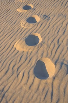 holidays around the Arcachon bay and the pilat dune, France.
summer evening on the beach
