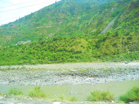 view of a wayside green forest