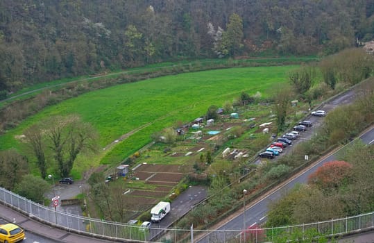 Small gardens surrounded by grass field, forest and road