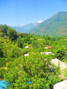 a view of green valley in northern india