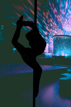 silhouette of a young flexible sexy girl hanging in a dancing pole performing in a strip club