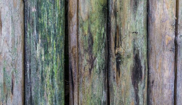 old weathered wooden poles macro close up background texture