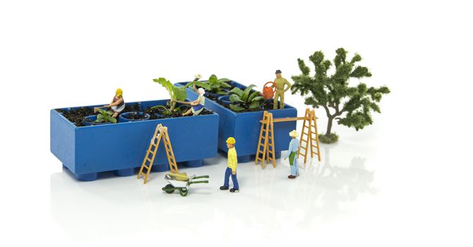 little world figures creating and busy with planting and watering the vegetable garden
