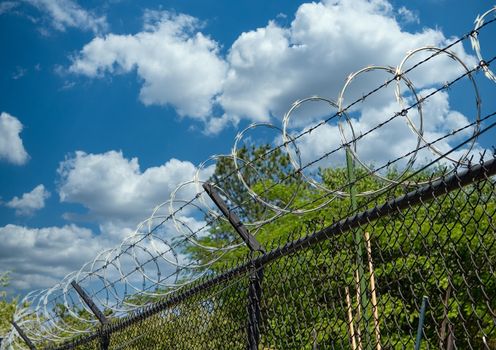 Razor wire atop a black chain link fence