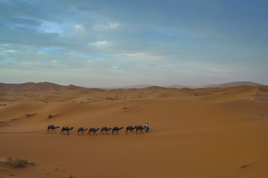 Caravan crossing the Moroccan desert