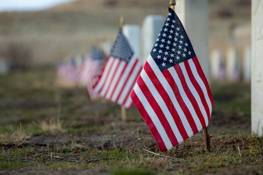 Our fallen patriots in battle at their final resting place.