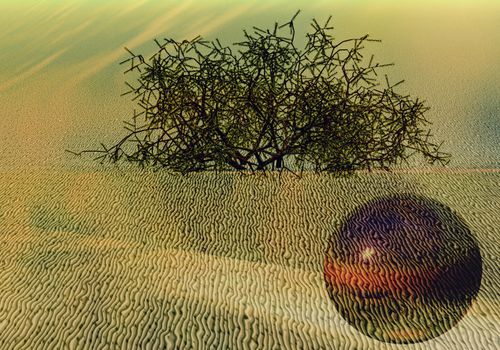 An unknown ball in the desert against the background of a bush, an abstract textured image of an object that appeared from another dimension