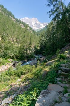 Trekking in Italian Alps mountain