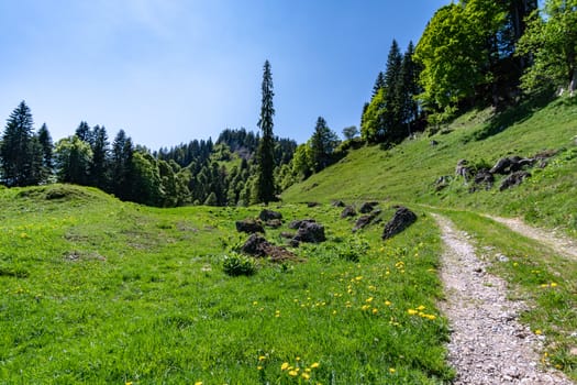 Wonderful hiking tour to the summit of the Buralpkopf, near Hochgrat, at the Nagelfluhkette in the beautiful Allgaeu.