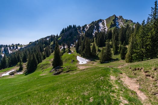 Wonderful hiking tour to the summit of the Buralpkopf, near Hochgrat, at the Nagelfluhkette in the beautiful Allgaeu.