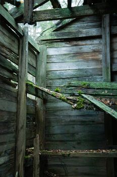 Green toned photo of rural setting