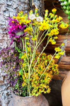 Woodland dried herbs and plants in a vase