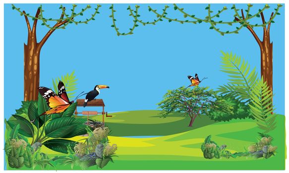 birds and animals view in nature in a zoo in this winter