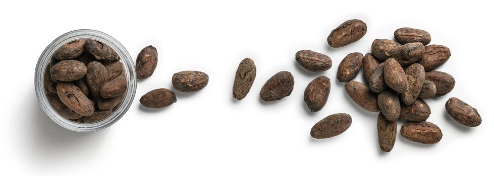 Cocoa beans on a white background. The view from the top.