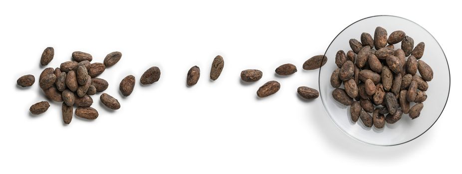 Cocoa beans on a white background. The view from the top.