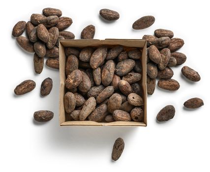Cocoa beans on a white background. The view from the top.