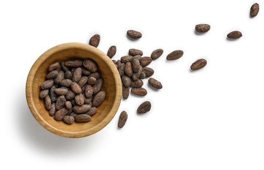 Cocoa beans on a white background. The view from the top.