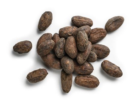 Cocoa beans on a white background. The view from the top.