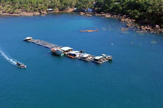Aerial view  Oyster farm in sea. Vietnam, Phu Quoc