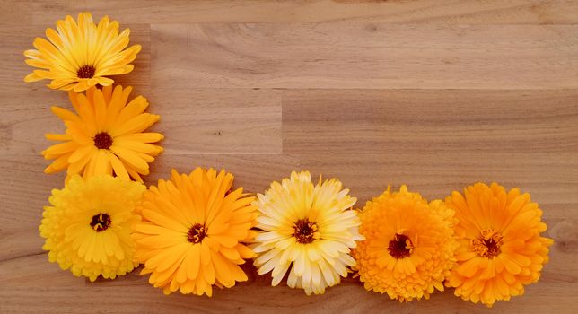 Half border of yellow and orange calendula flowers on a wooden background with copy space
