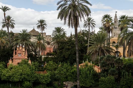 Some green palms and trees at outdoor gardens in Alcazar of Sevilla, Spain