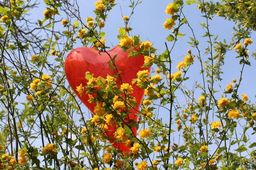 The picture shows a red heart balloon in the kerria