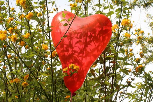 The picture shows a red heart balloon in the kerria