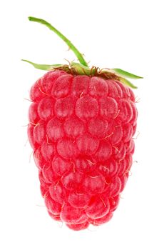 Raspberry isolated on a white background