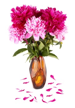 Pink peonies in a vase isolated on a white background