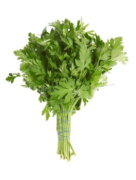 Fresh parsley isolated on a white background