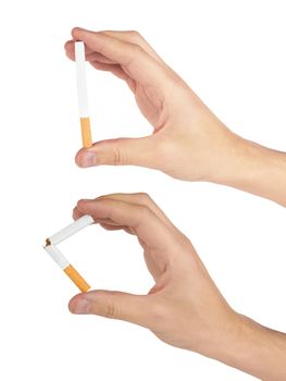  mans hand breaking and holding a cigarette it is isolated on a white background. 