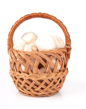 mushrooms champignon in a wicker basket isolated on white background 