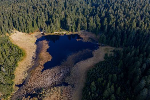 Aerial view on Black lake and marshes, forest in background on Pohorje mountain, Slovenia, autumn morning