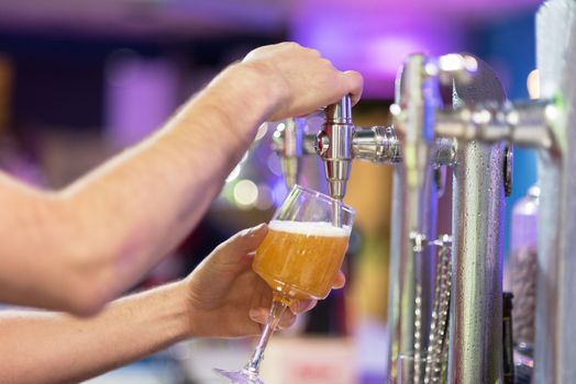 Barman in the pub pouring a lager beer in a glass, shallow dof, selective focus.