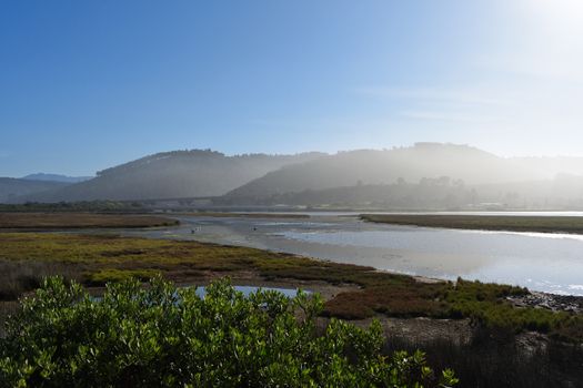 A natural green coastal river estuary landscape at daybreak, Mossel Bay, South Africa