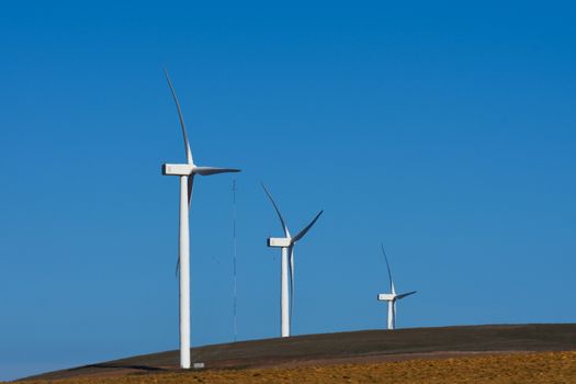 Towering wind power turbines on a wind farm hilltop, Western Cape, South Africa