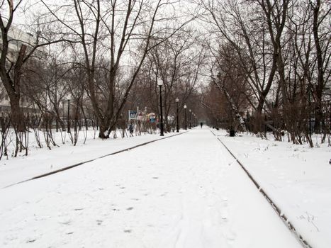 Cloudy winter day in the park. Cold, peace and quiet of winter nature