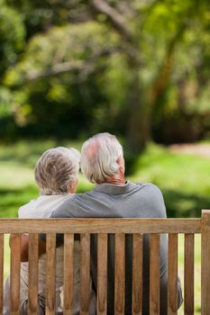 Couple sitting on the bench with their back to the camera