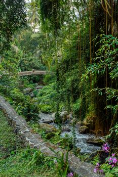 ancient trails around royal tombs at Gunung Kawi, Bali, Indonesia