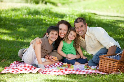 Family picnicking together 