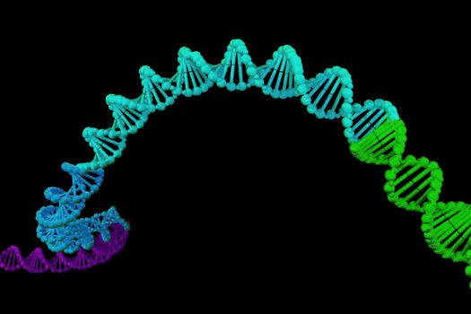 3d rendering of DNA (deoxyribonucleic acid) structure, 3d illustration.