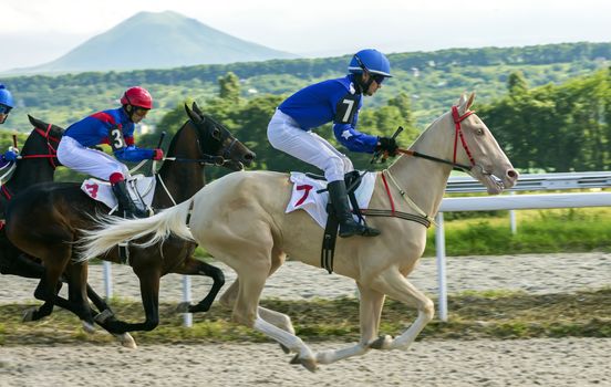 PYATIGORSK,RUSSIA- JUNE 25,2017:Horse race for the traditional prize of the Bolshoi Letni on a akhal-teke horse at the Pyatigorsk hippodrome