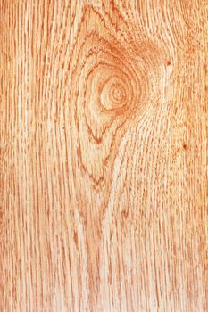 Pattern of wood - can be used as background 