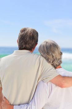 Senior couple looking at the sea