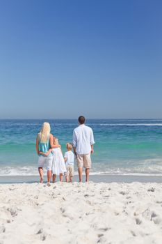 Portrait of a family on the beach