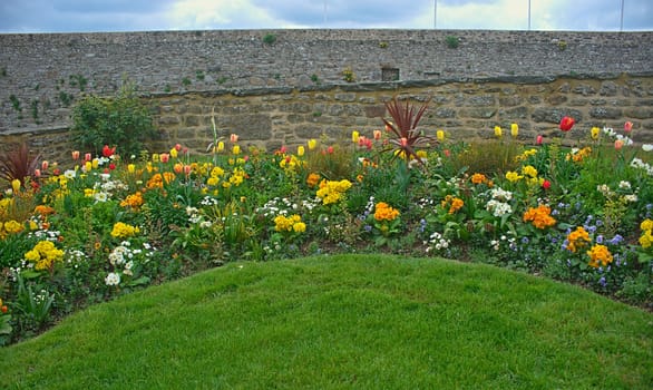 Various different blooming plants on lawn and stone wall behind