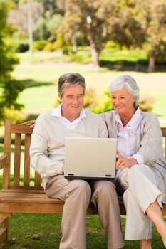 Couple working on their laptop sitting in the park