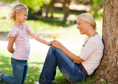 Daughter offering a flower to her mother during the summer 