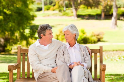 Senior couple on the bench during the summer in a park